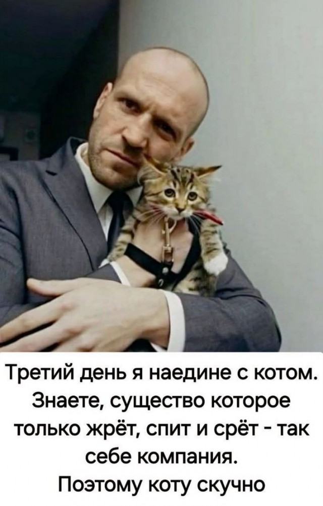 Завалялось тут случайно немного забавных картинок