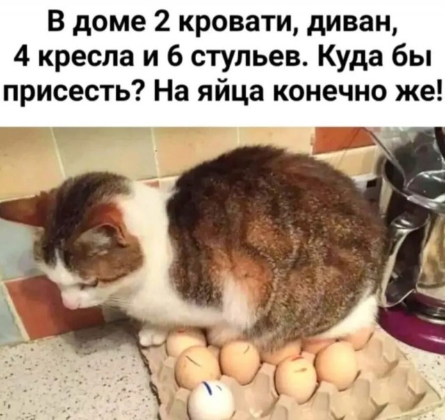 Завалялось тут случайно немного забавных картинок