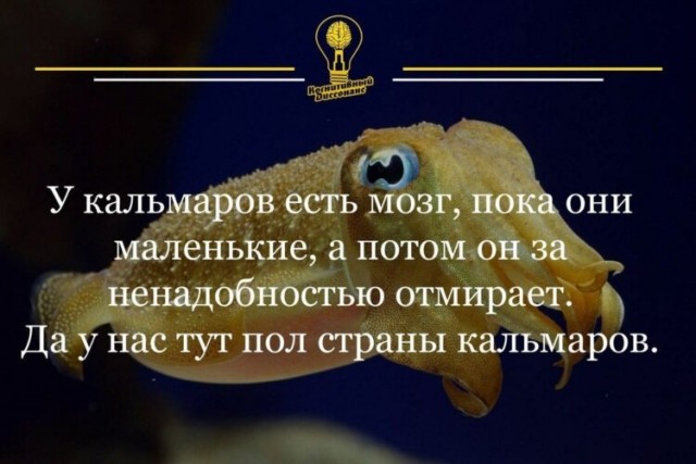 Похоже завтра бомбанет