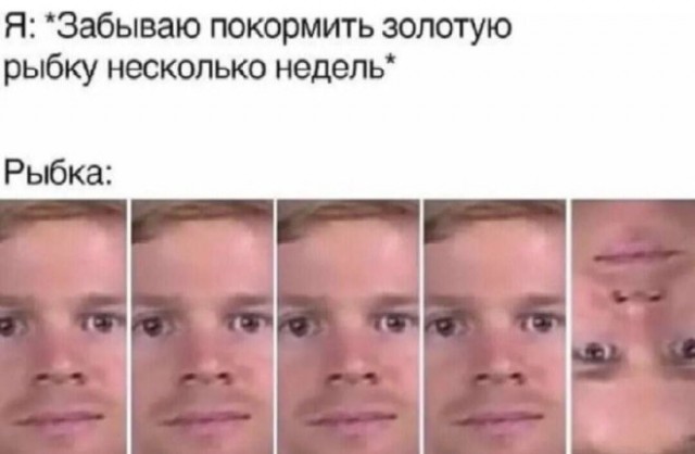 Веселые картинки в пятницу (04.04)
