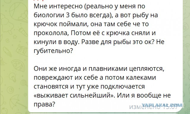 Главный рыбацкий фестиваль «Вобла-2025» в Астрахани прошел, но без воблы
