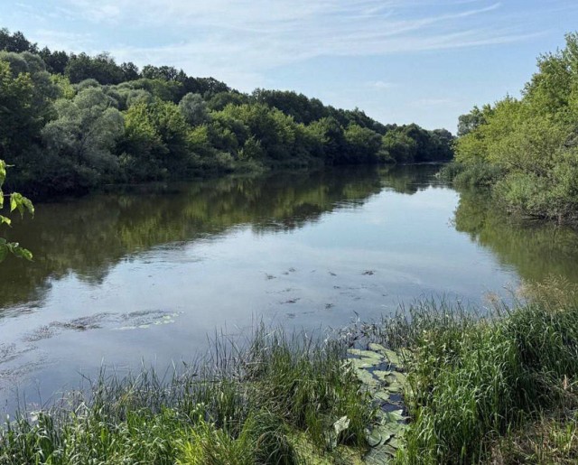 Многодетная мать погибла, спасая тонущую дочь в Мордовии