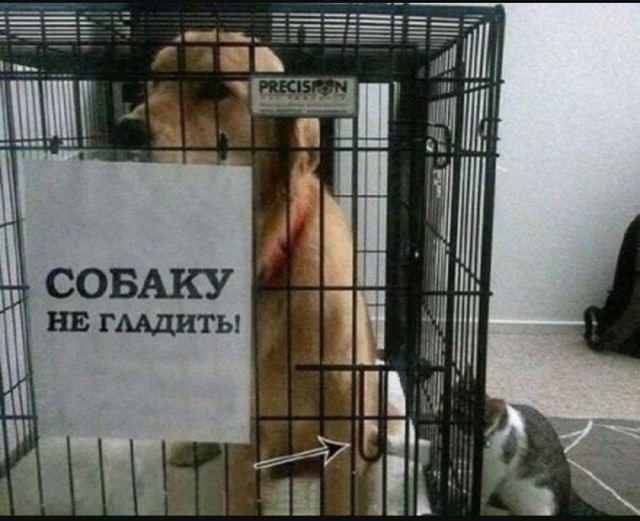 Так себе картинки 05.08.25