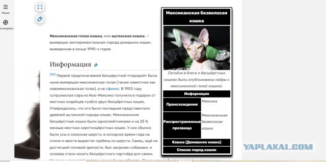 Я чуть со стула не упал