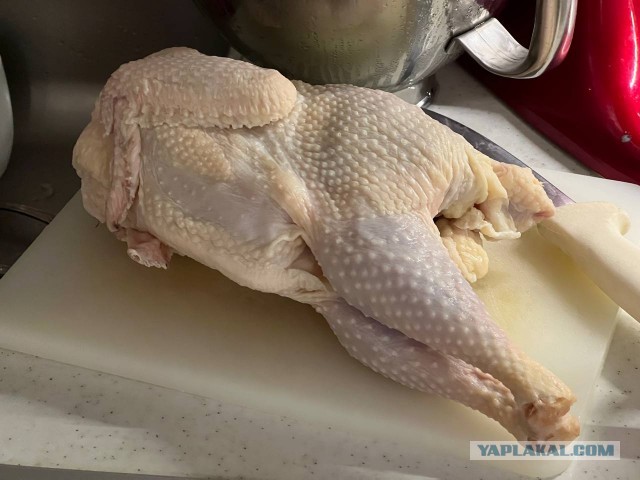Куриная лапша