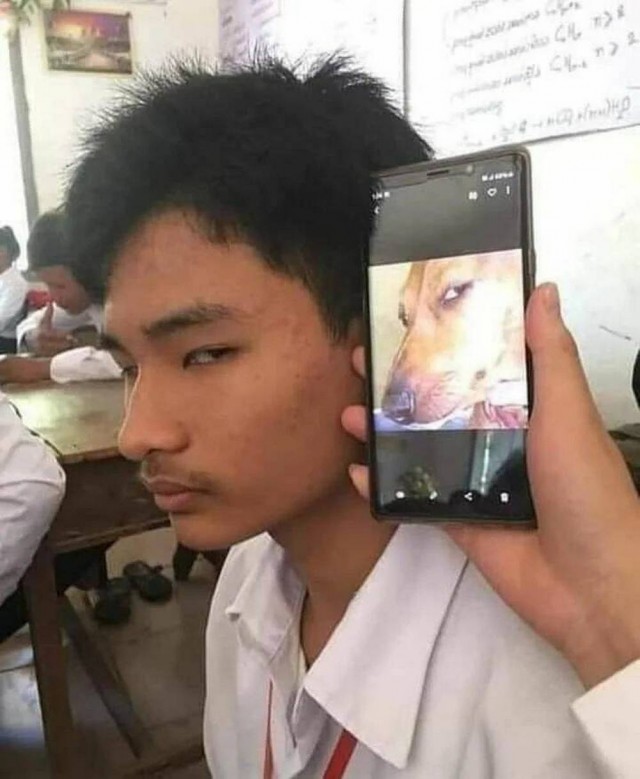*Зачёркнуто*