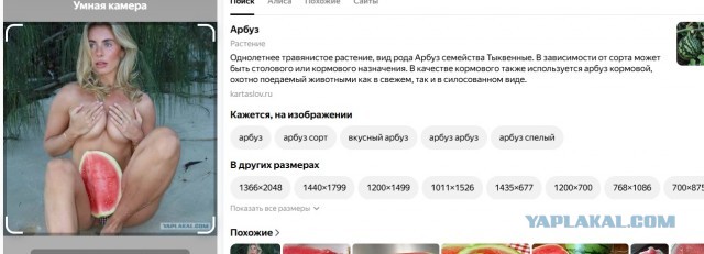 Актрисе фильмов для взрослых Блю грозит до 15 лет тюрьмы в Индонезии