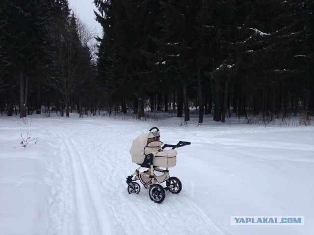 Пермский зоопарк