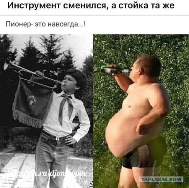 Тяга к сотрудничеству