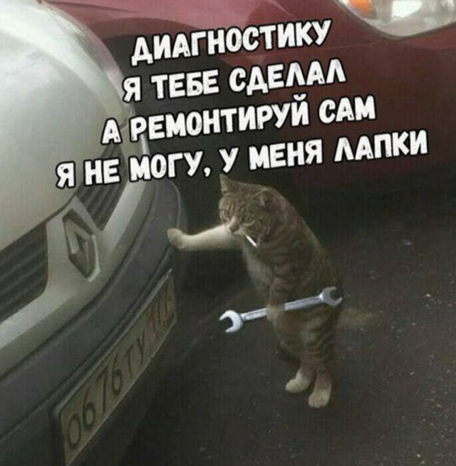 22 забавных и жизненных цитаты от автомеханика⁠⁠