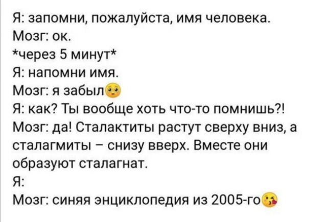 Потная гамсахурдия №2 - веселые картинки