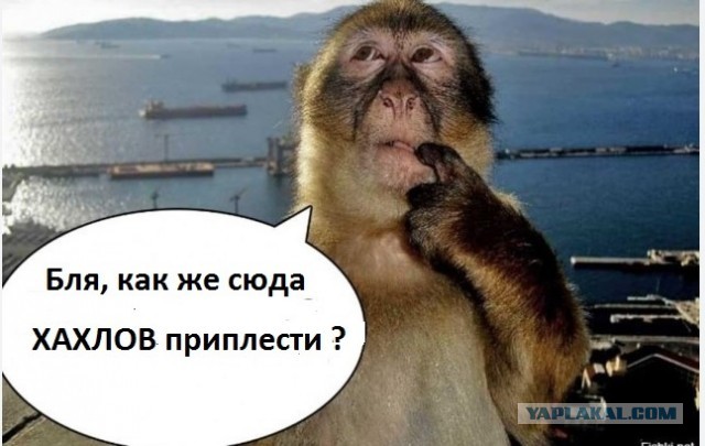 Россиянина пытались выгнать с элитного пляжа во Вьетнаме из-за татуировки «Побеждай любя»