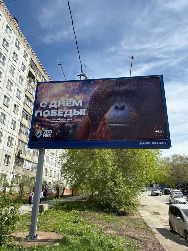 Жителей Новосибирска бомбануло из-за плаката местного зоопарка ко Дню Победы