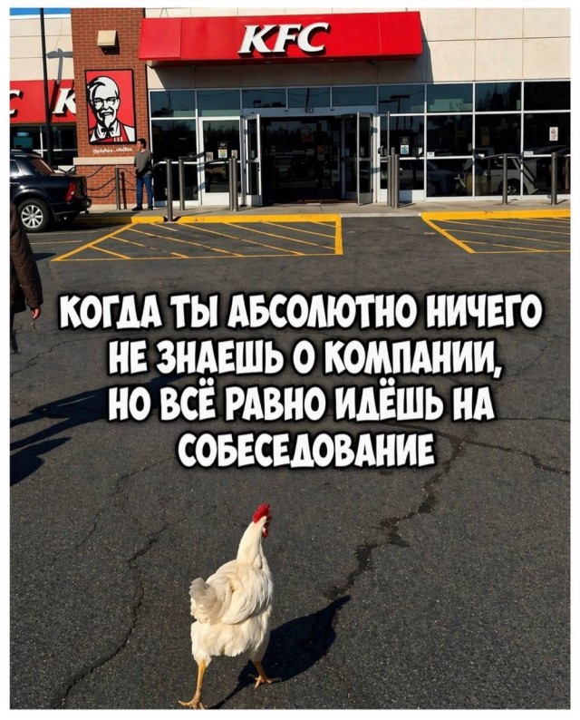 Картинки для деградации 204 (разной степени свежести)