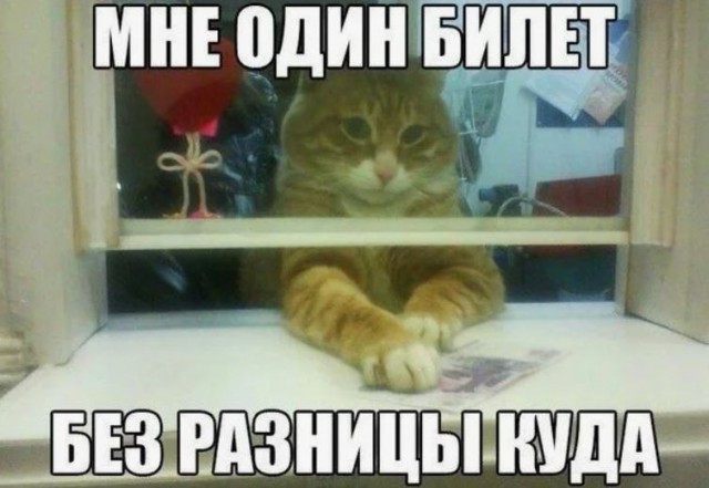 Эх, плюнуть на все и уехать х@й знает куда. А не вот это вот всё