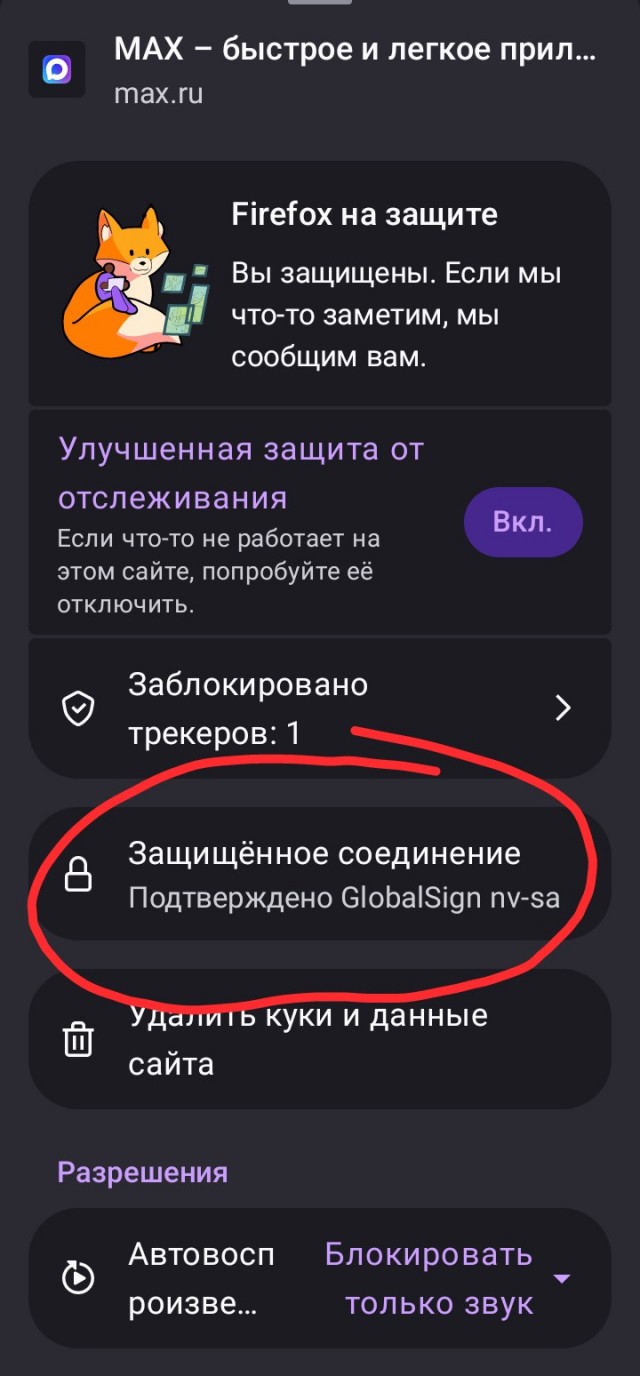 Веб-версия Макса перестала открываться у некоторых юзеров