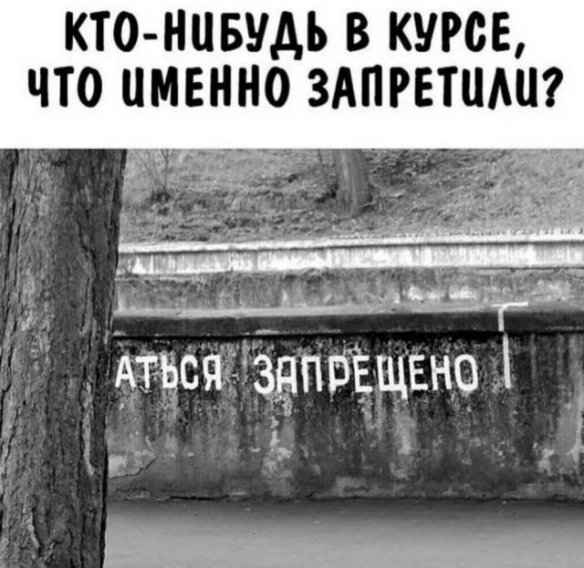 Картиночки, баянчики 08 июля