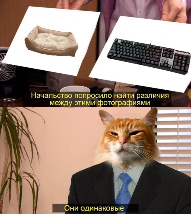 Картинки для деградации 254 (разной степени сежести)