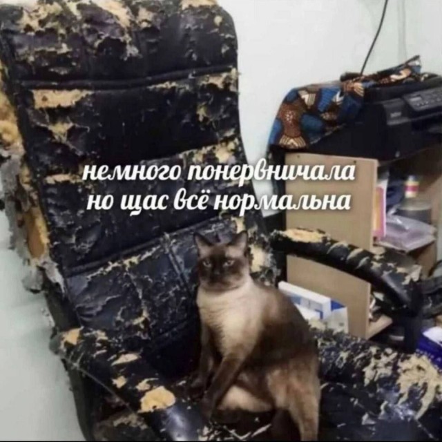 Психомемы-8