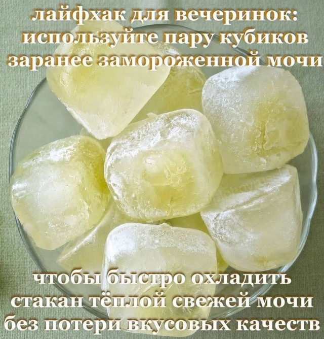 Отсутствие морально этических норм Vol.101
