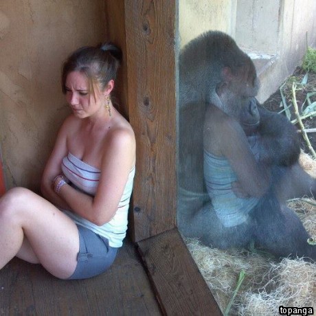 Чернильница поругалась с мужем