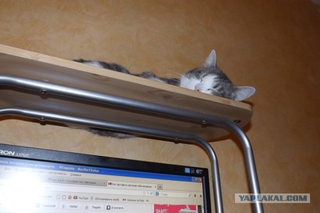 Домашний комп.