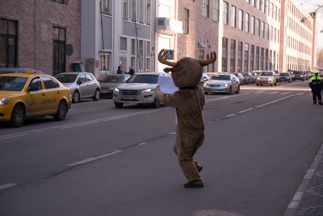 Лоси захватывают здания