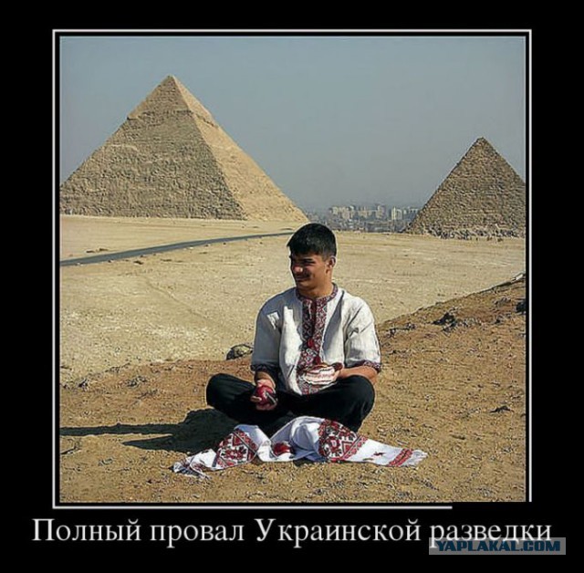 Демотиваторы.