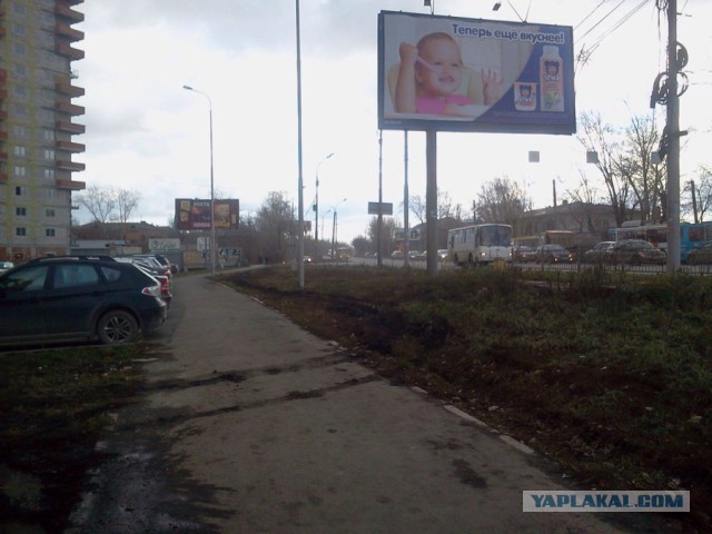 Новые правила содержания собак в Татарстане