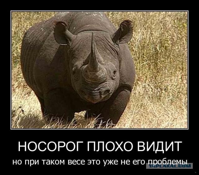 Демотиваторов пост, добавляйте свои