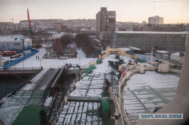 Покоривший льды