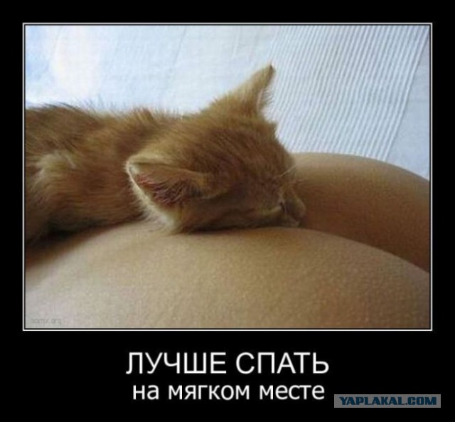 В тесноте, да не в обиде