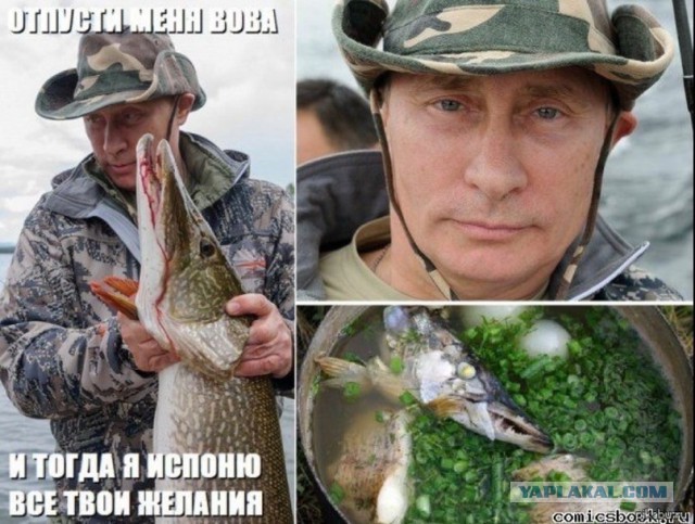 Немного юмора