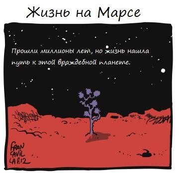 Жизнь на Марсе...