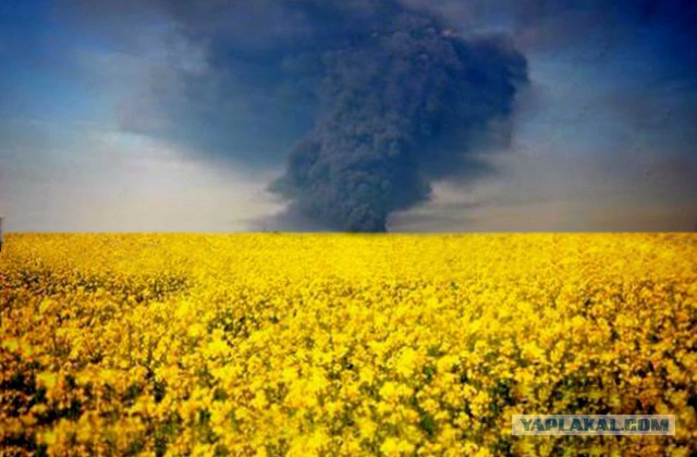 Сфотографировал с самолета, горение нефтехранилища
