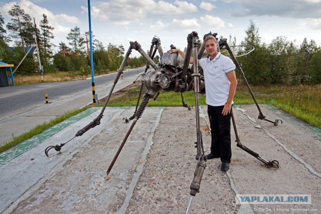 Комары по трассе Хабаровск Комсомольск