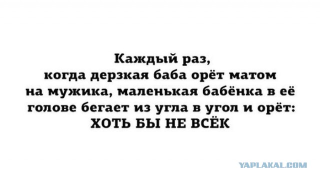 Дело в морде