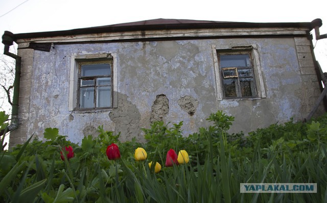 Они повсюду: забавная парейдолия