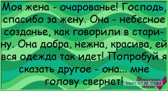 Как так можно любить?