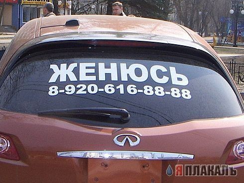 Жонюсь