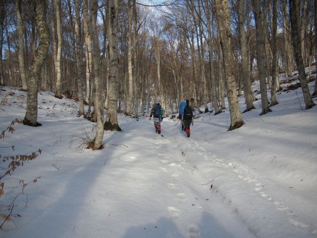 Зимний Крым