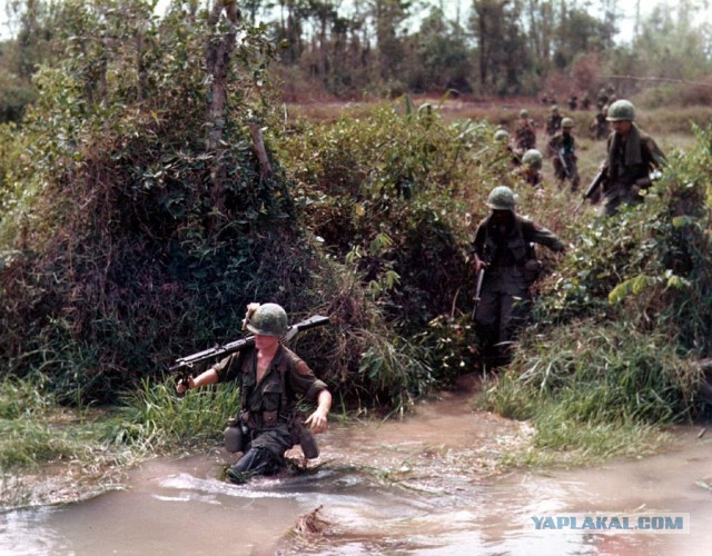 Кроты против крыс: как американцы проиграли вьетнамскую войну