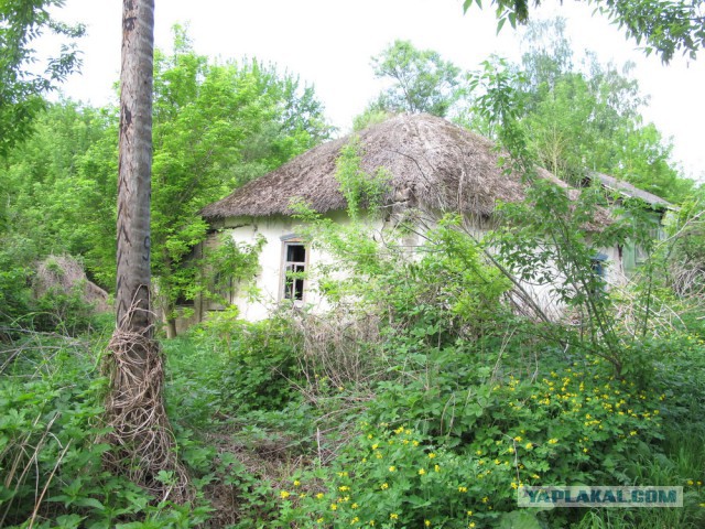 15 живописных украинских домов-мазанок, которые простояли по 100-300 лет