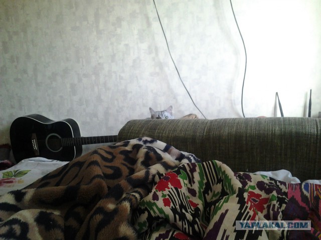 Котлеты вот жарим