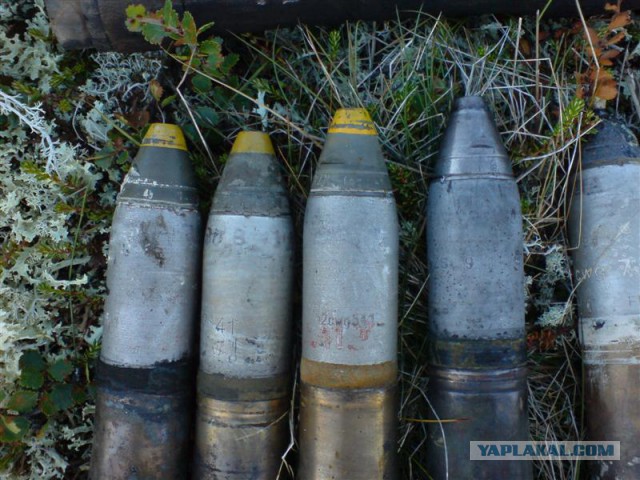 Гидрокоп: находки из глубин
