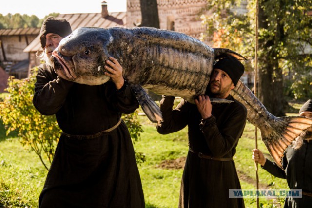 Поймали в Находке