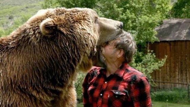 Самые смешные животные