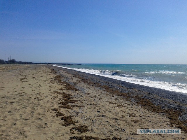 Как стать самогонщиком в современной России
