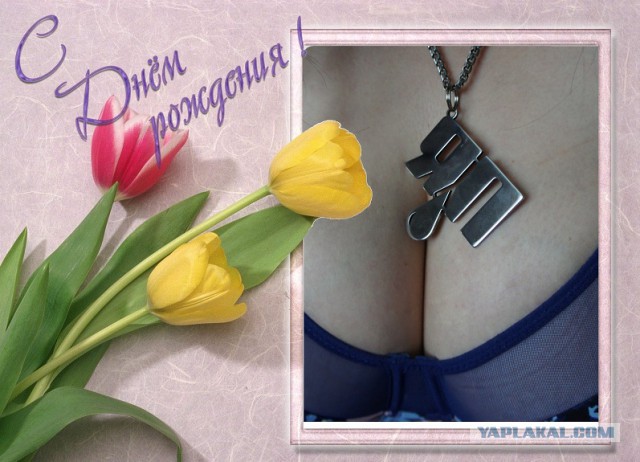 С днем рождения ЯП: 13 лет