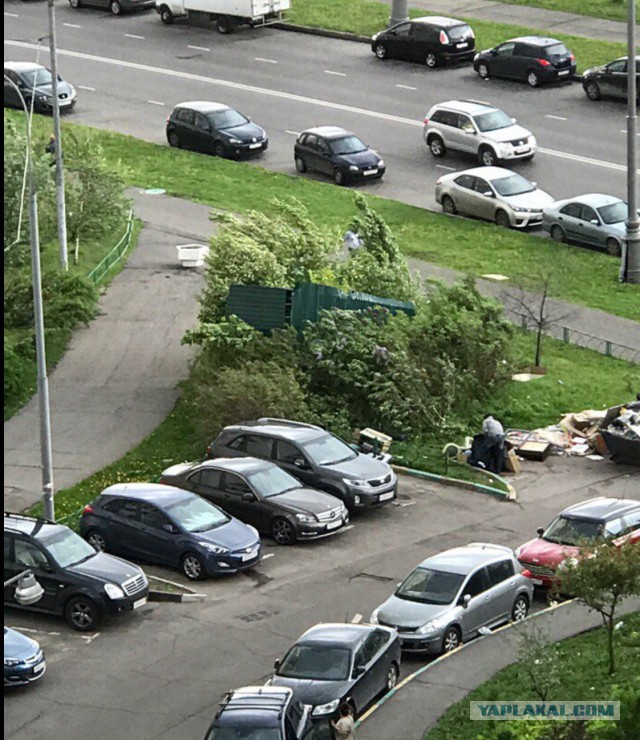 В Москве ураган!